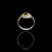 green tourmaline Compass Ring in Silver & gold by Imaginarium Atelier