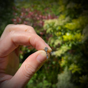 Key - Curio ear stud